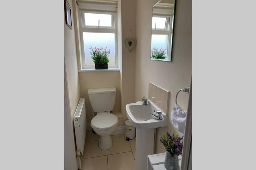 Two Bedroom Town House Beside The River Barrow Carlow Kültér fotó