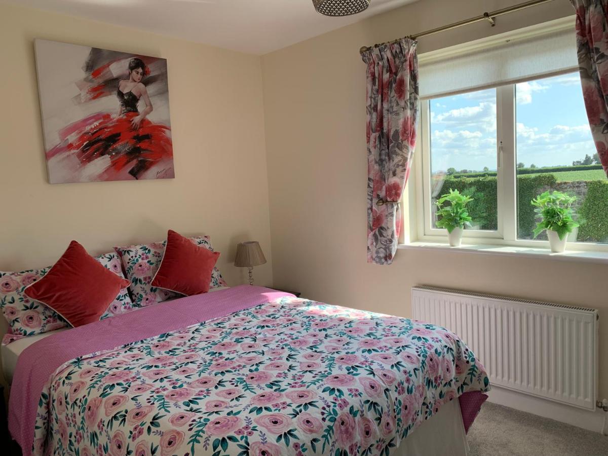 Two Bedroom Town House Beside The River Barrow Carlow Kültér fotó