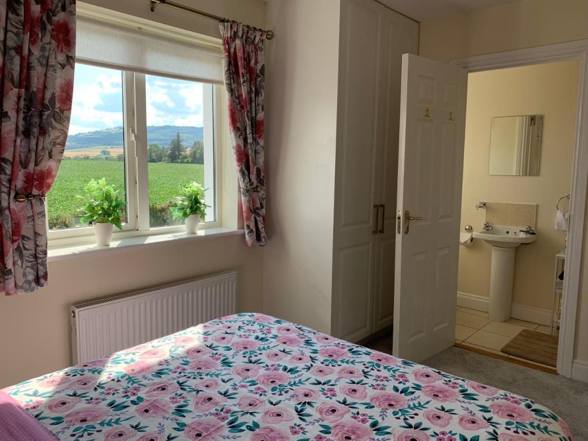 Two Bedroom Town House Beside The River Barrow Carlow Kültér fotó