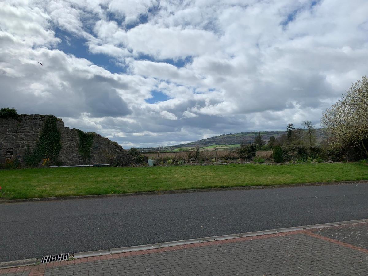 Two Bedroom Town House Beside The River Barrow Carlow Kültér fotó
